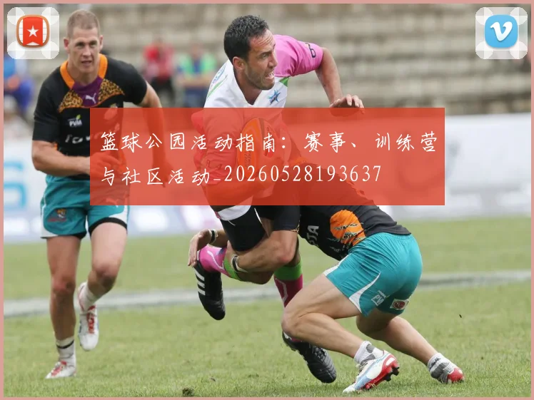 篮球公园活动指南：赛事、训练营与社区活动_20260528193637