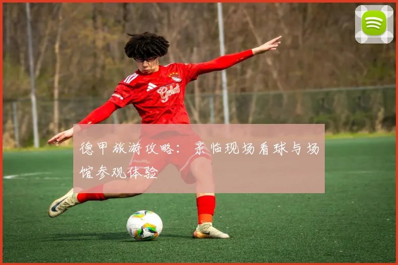 德甲旅游攻略：亲临现场看球与场馆参观体验